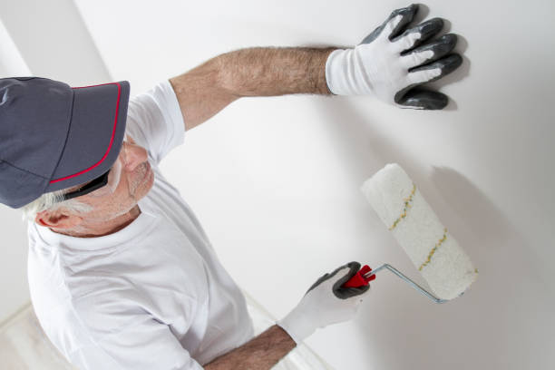 Best Commercial Mold Inspection  in Silt, CO