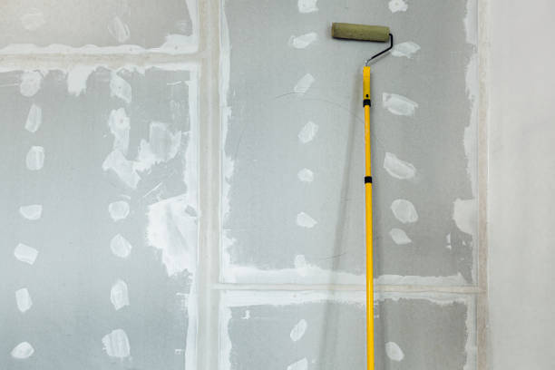 Best Indoor Air Quality Assessment  in Silt, CO
