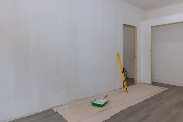 Best Black Mold Removal  in Silt, CO