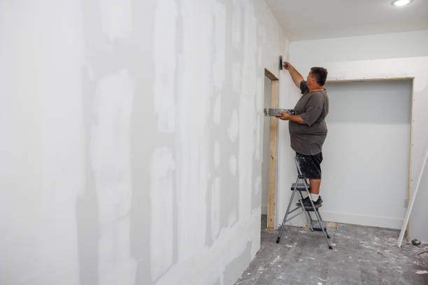 Best Mold Damage Restoration  in Silt, CO