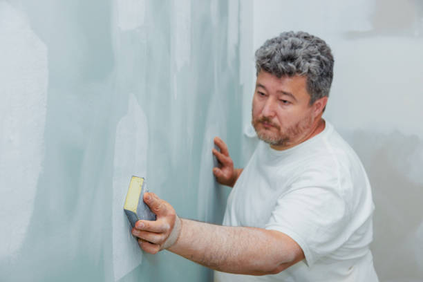 Best Mold Damage Restoration  in Silt, CO