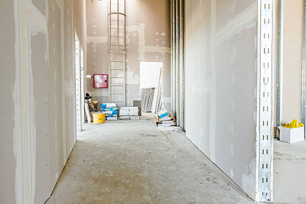 Best Post-Construction Mold Inspection  in Silt, CO