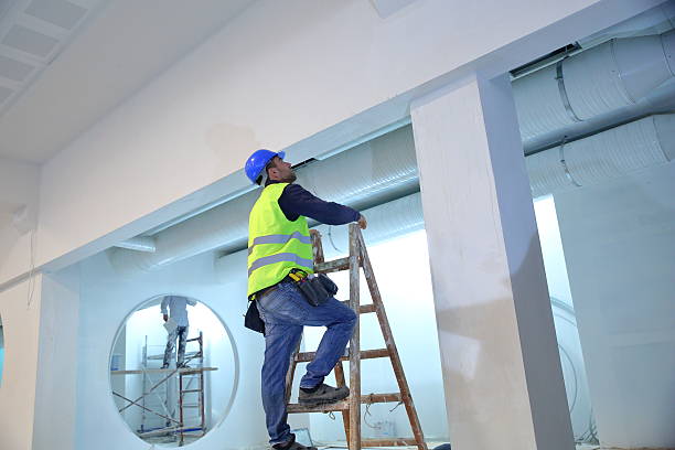 Best Real Estate Mold Inspection  in Silt, CO